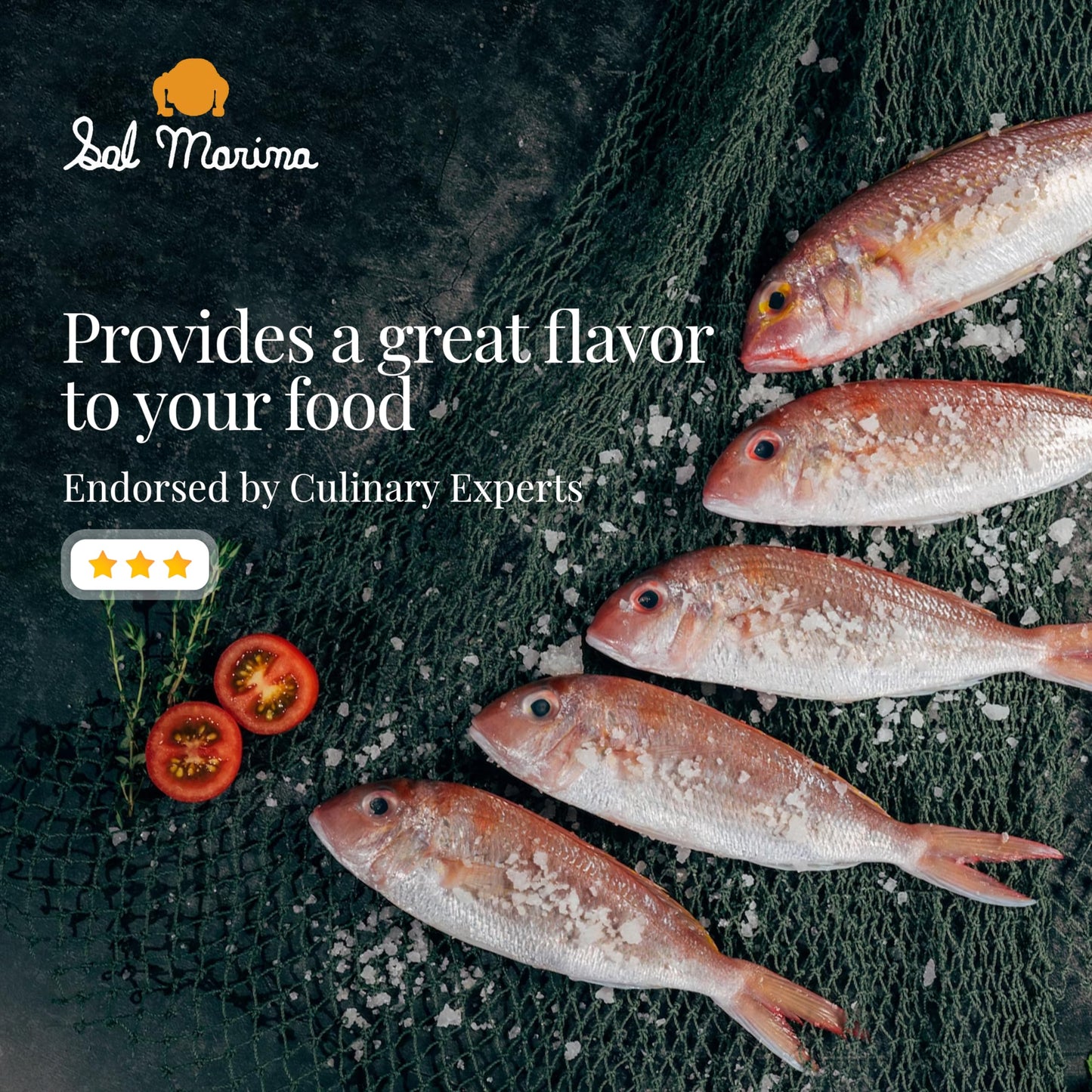 Sal Marina | Unrefined Sea Salt Flower 11Oz | Kosher Salt 100% Natural - Vegan Gluten Free Organic Table Salt Seasoning Food