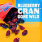 Ocean Spray Blueberry Cran Snack Medley, Cranberry And Blueberry Dried Fruit Snack, 1 Oz Pouches, 5 Count