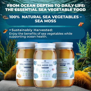 Trueseamoss Wildcrafted Irish Sea Moss Gel - Made With Dried Seaweed & Fresh Sea Vegetables, Seamoss - Made In Usa (Apple/Cinnam