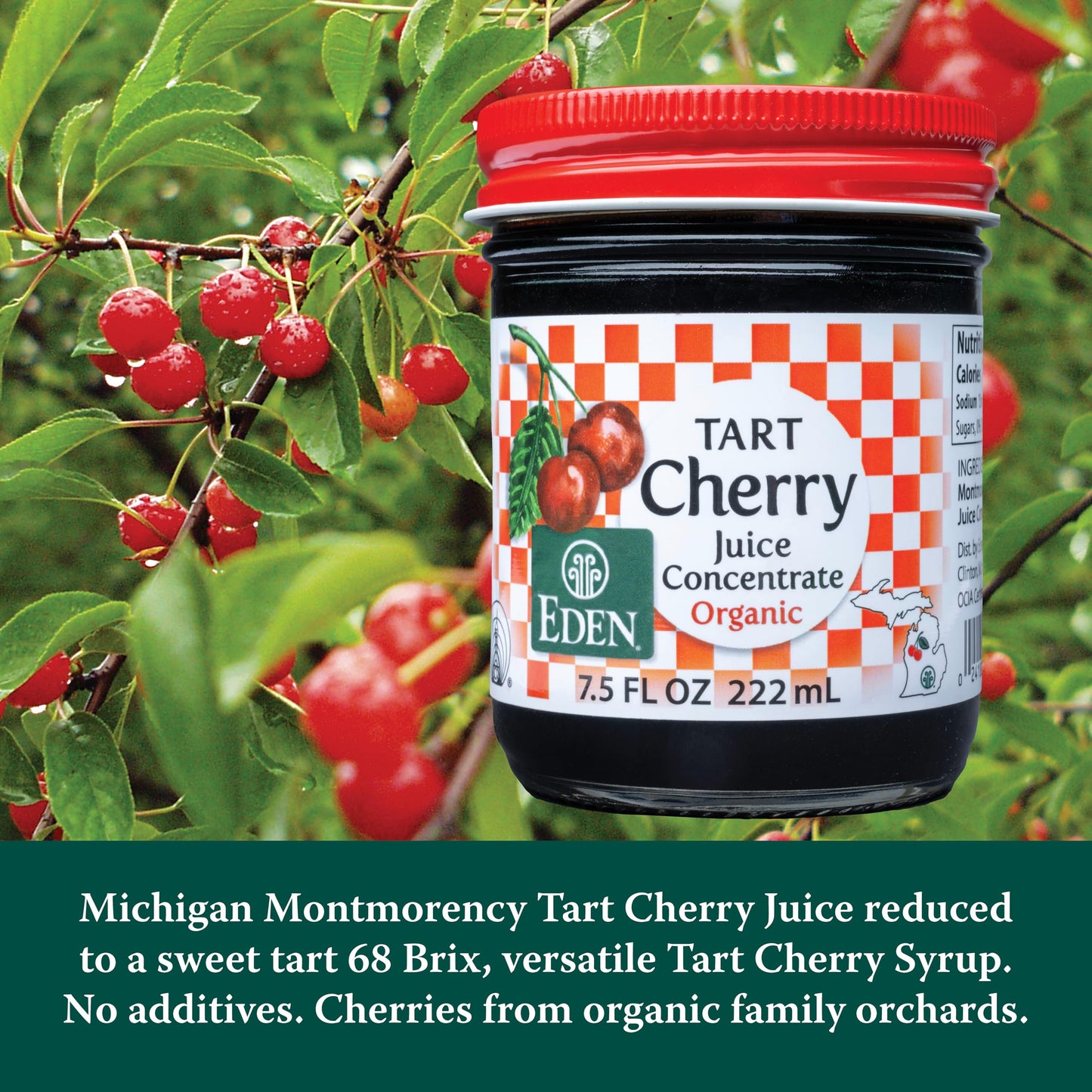 Eden Foods Cherry Juice Conc (1x7.5OZ )