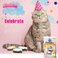 PetCakes Cat Birthday Cake Kit - Cheese Flavor Natural Treats - 5.5 Oz