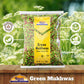 Rani Green Mukhwas (Special Digestive Treat) 7oz (200g) ~ Vegan | Indian Candy Mouth Freshener | Kosher