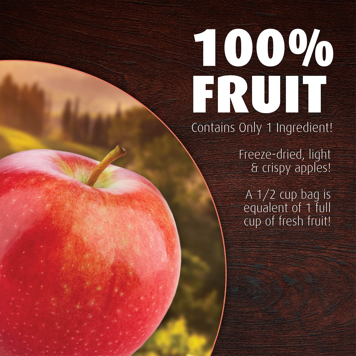 Brothers All Natural, Disney Apple Cinnamon Freeze Dried Fruit Crisps, Gluten Free, Non-Gmo, Nothing Added, 0.35 Oz. (Pack Of 12