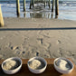 82 Minerals Sea Salt - Premium Hand-Harvested Sel Gris, Fine Mineral & Electrolyte Finishing Salt, 4 Ounce, Natural Gray