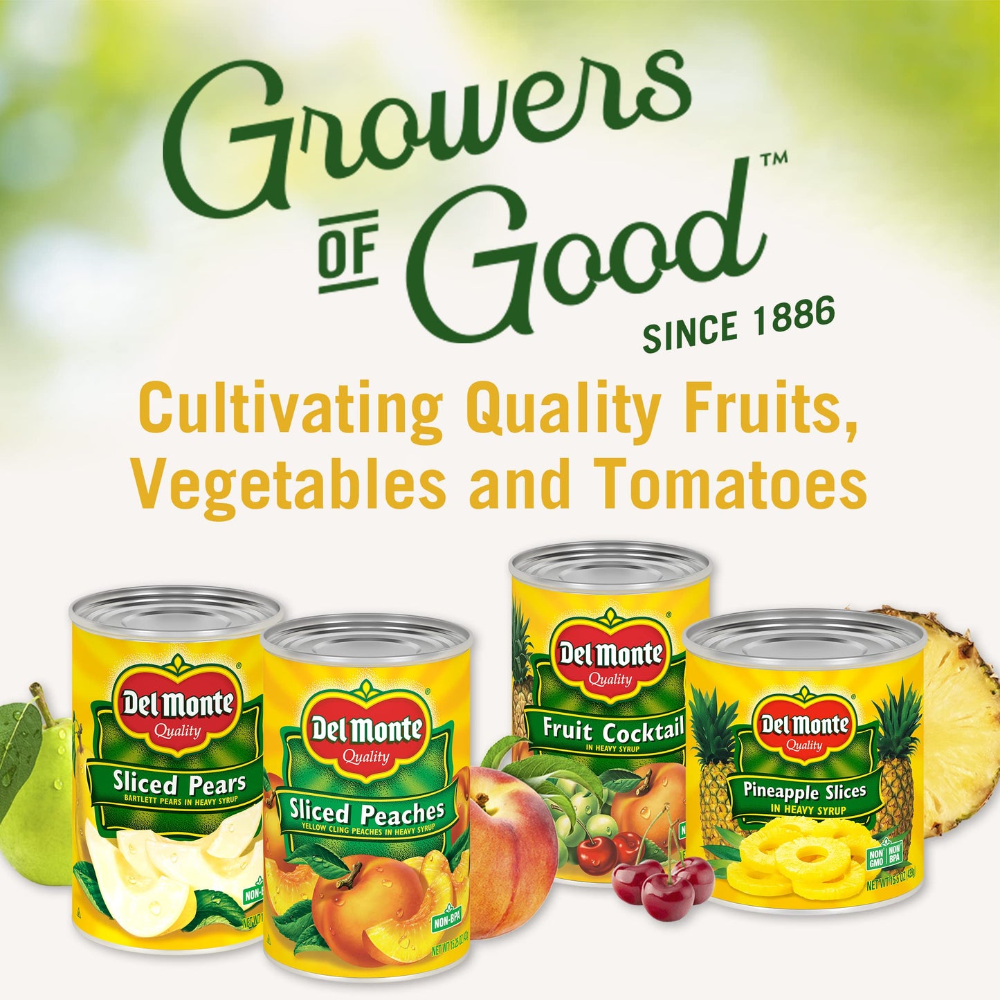 Del Monte Sliced Yellow Peaches in Extra Light Syrup, 15 oz Can, Pack of 12 Cans