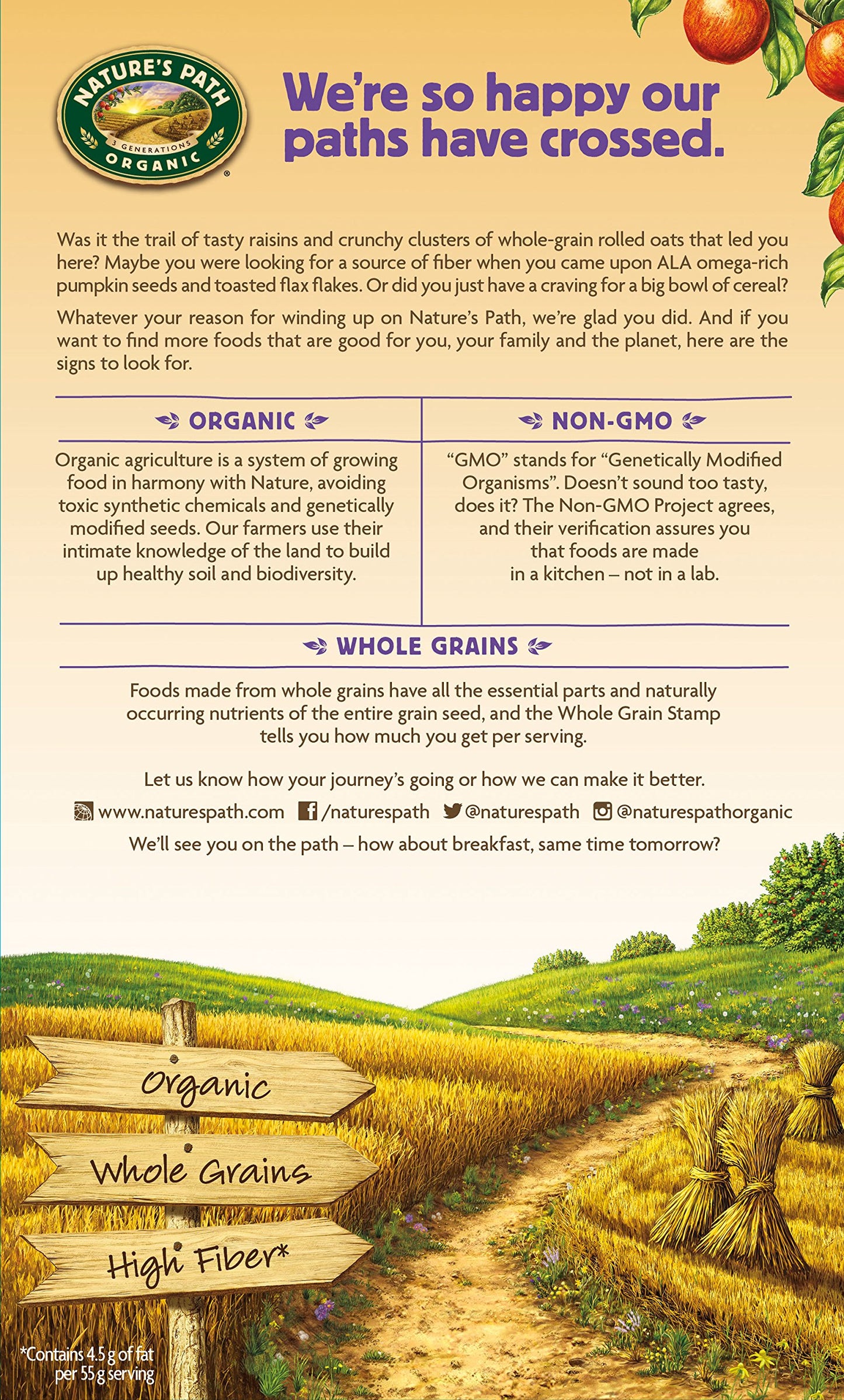 Nature'S Path Organic Cereal, Flax Plus Pumpkin Raisin Crunch, 12.35 Ounce Box (Pack Of 6)