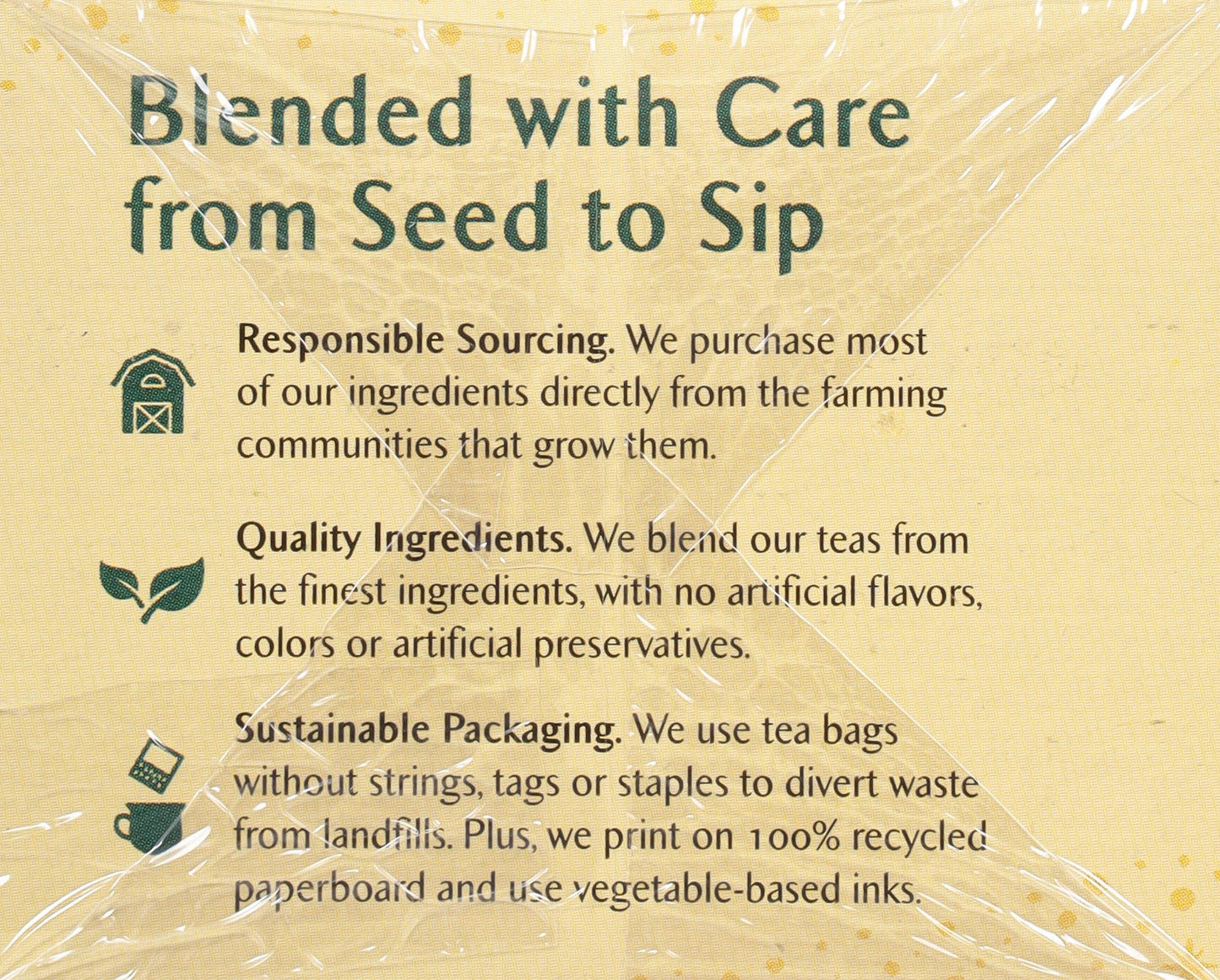 Celestial Seasonings Immune Support Green Tea 20 Tea Bags