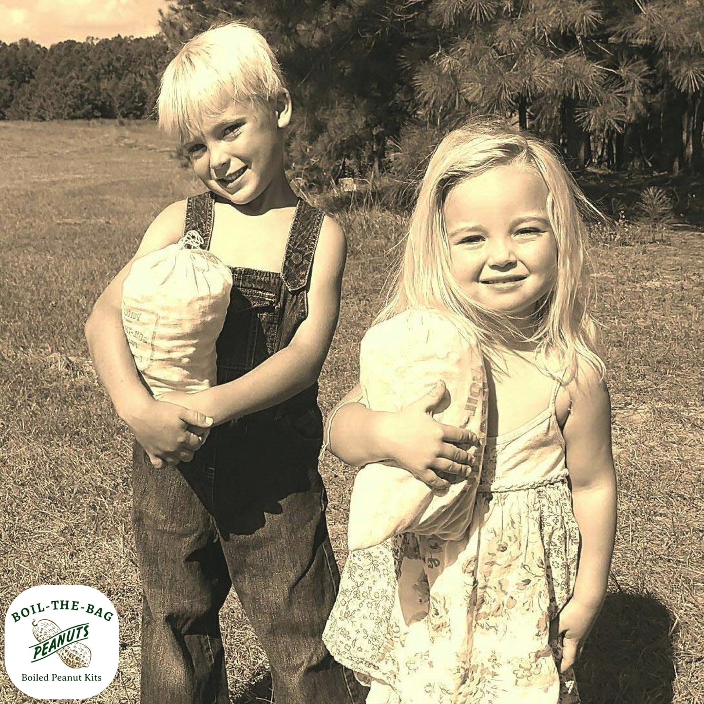 BOIL-THE-BAG Boiled Peanuts Kit with Garlic Onion Flavor | 12 Bags of Premium In Shell Peanuts and Seasoning Blend