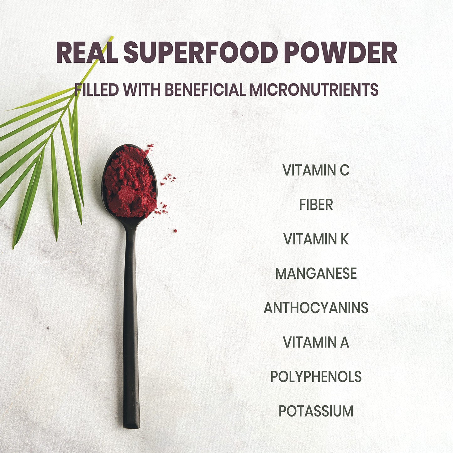 Jungle Powders Blackberry Powder For Smoothie 7 Ounce Bag, Powdered Freeze Dried Blackberries, Purple Superfood Flavoring Extrac
