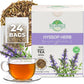 24 Bags Hyssop Dried Herb Hyssop Tea Herbal (Hyss  pus Officin  lis) - 24 Count 2g Tea Bag Herb Hyssops Hissop Hysopp Hisopo