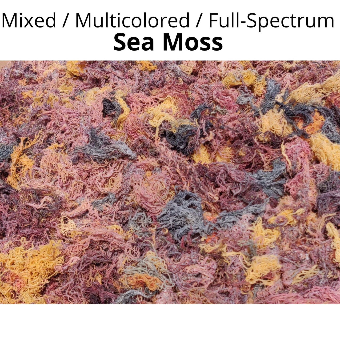 Helen of the West Wildcrafted Sea Moss - 100% Natural Irish Moss, 8oz, Mixed Colors, Mineral-Rich Superfood, No Preservatives