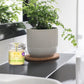 The Dirt Tooth Powder - Natural Fluoride-Free Toothpaste Alternative, Vegan - Essential Oils & Bentonite Clay (Lemongrass & Ging