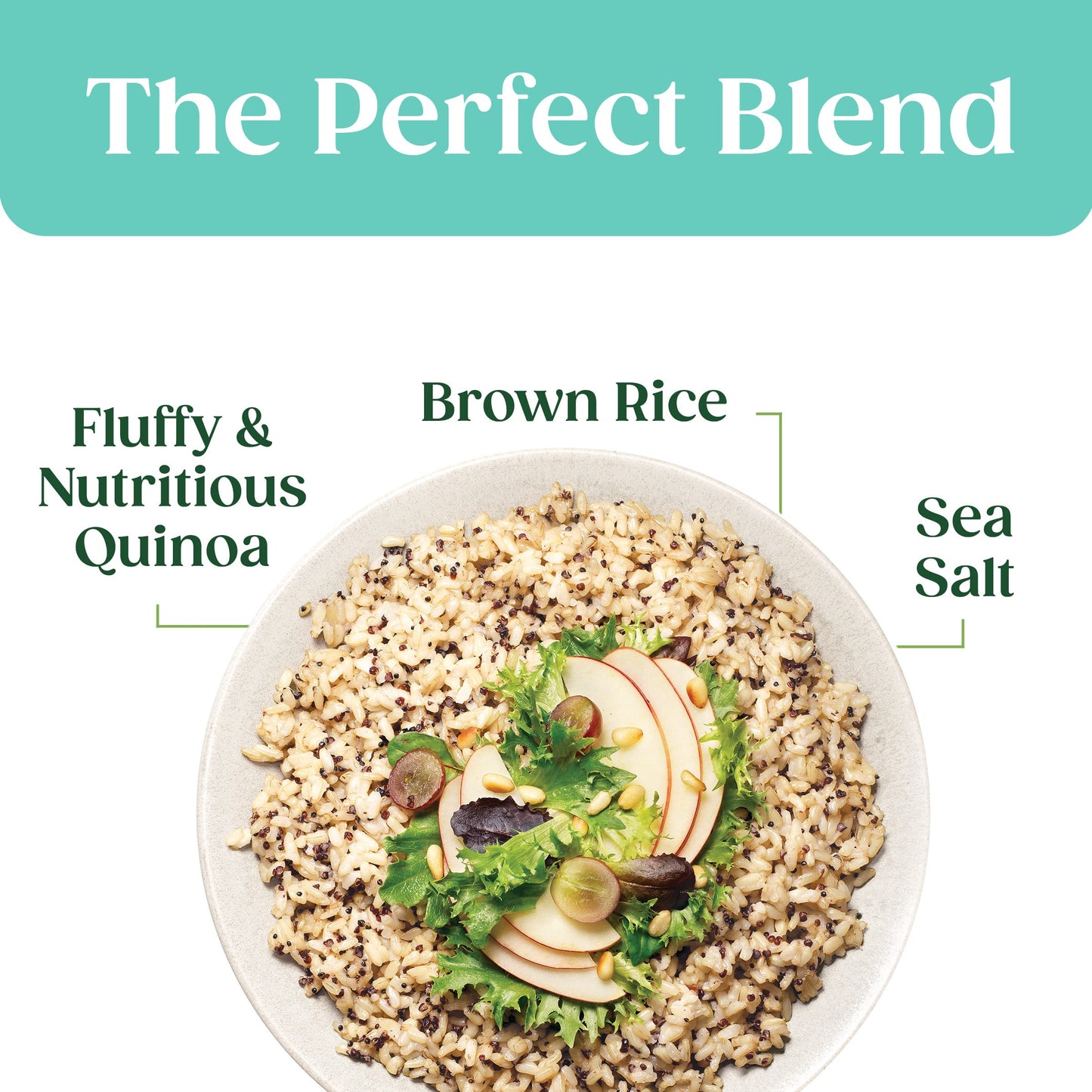 Seeds of Change Organic Quinoa & Brown Rice with Sea Salt, Good Source of Fiber, No Artificial Ingredients, Vegetarian Friendly,