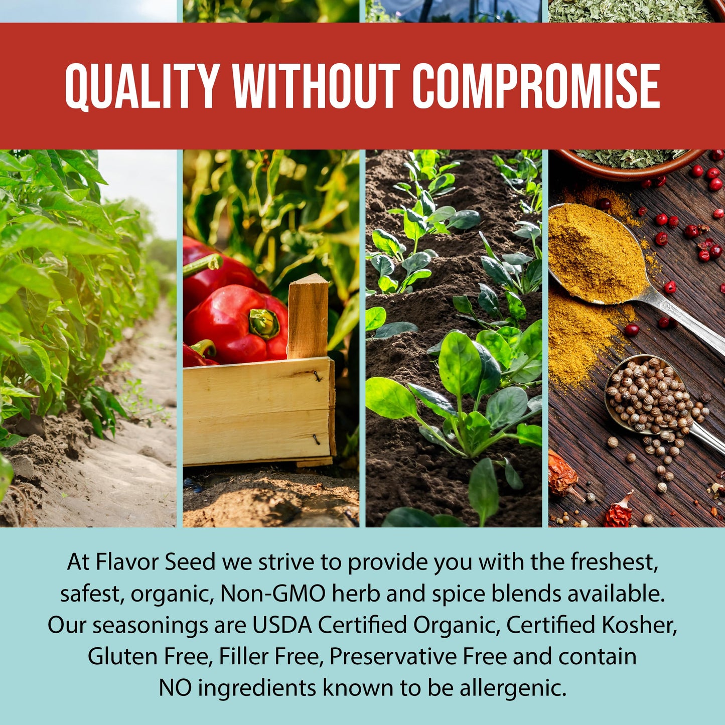 Flavor Seed Tidewater Organic Seafood Seasoning, All Purpose Fish Seasoning For Shrimp, Crab Meat, Lobster And Seafood Boils Wit