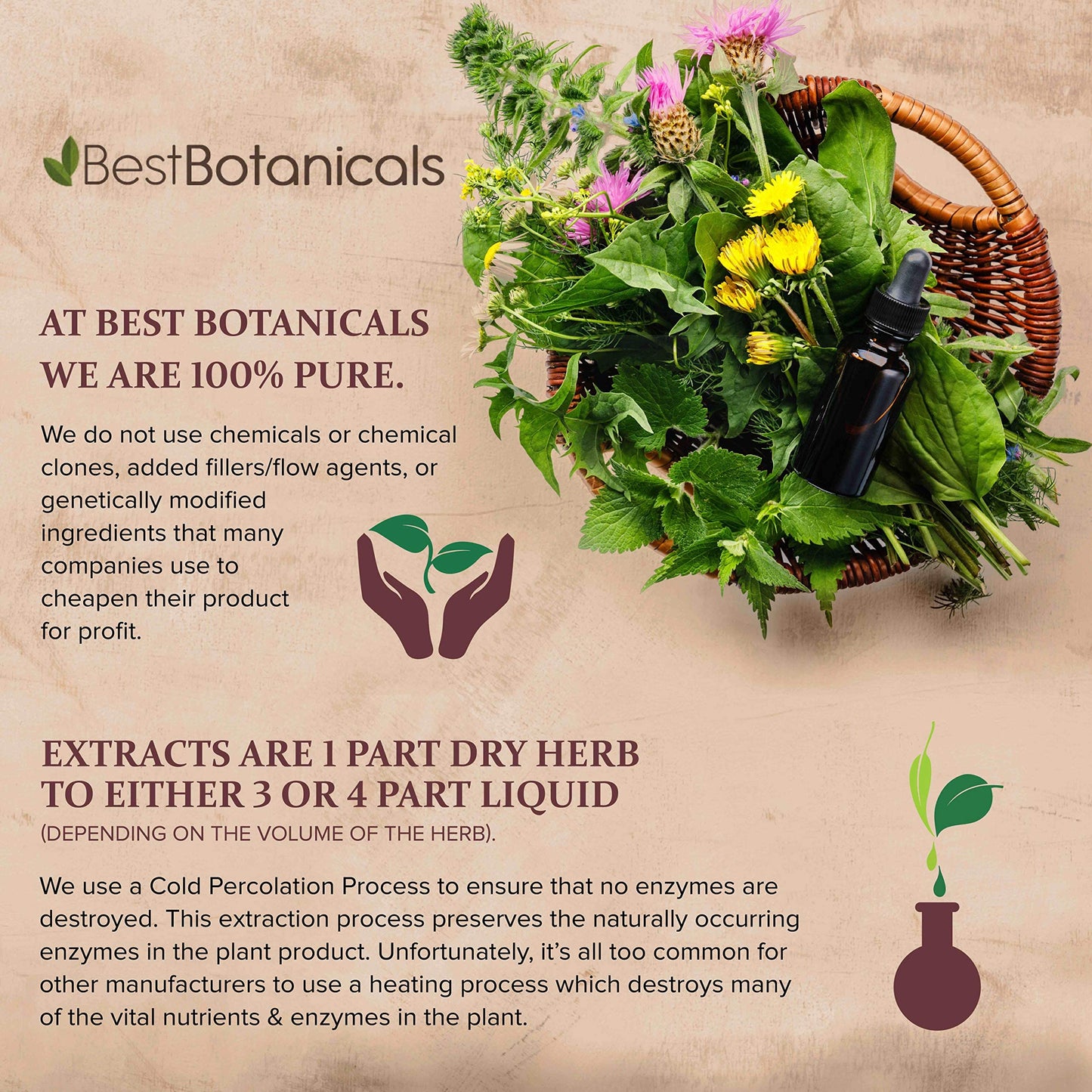 Best Botanicals Black Walnut Hull Cut 16 Oz.