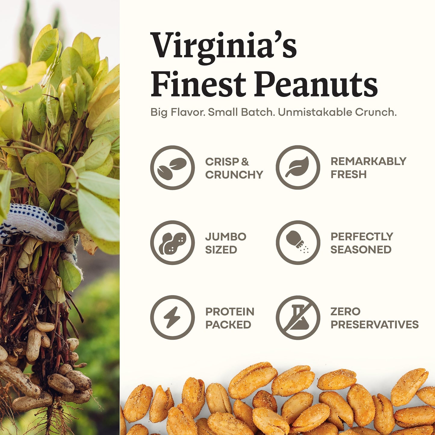Belmont Peanuts Gourmet Chili Lime Virginia Peanuts, 20 Oz (1 Pack) – Simple Ingredients, No Preservatives, 7G Protein – A Premium, Citrusy, Spicy, Salty, Crunchy, Hand Seasoned Snack