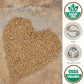 Be Still Farms Einkorn Farro Grain Organic (4.8 lb) - Einkorn Wheat Berries Bulk Whole Ancient Grains - Ideal for Soup, Flour, B