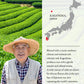 SUMIRE Hojicha Powder Rich Aroma from Kagoshima  Japan - Roasted Flavor  Caffeine-Light  Fine Texture  Easy Mix (Hojicha Powder)