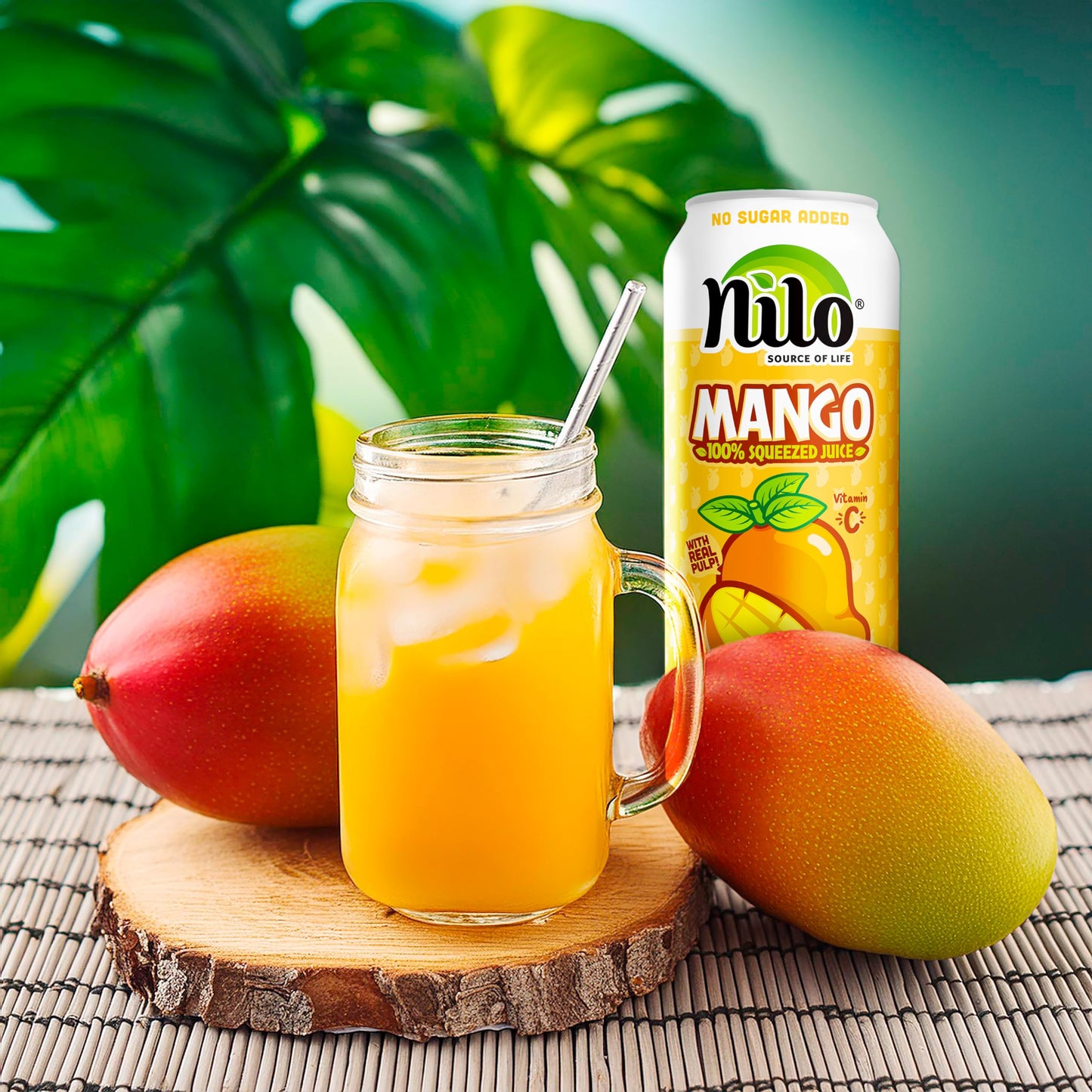 Nilo Mango Juice | 100% Squeezed Mango | No Sugar Added | Not From Concentrate | 10.8 Oz (Pack Of 12)