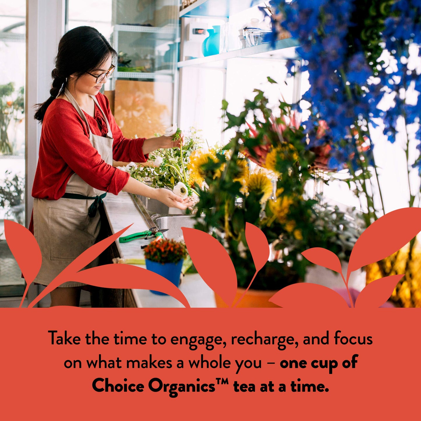 Choice Organics - Organic Rooibos Tea (1 Pack) - Fair Trade - Compostable - Caffeine Free - 16 Organic Herbal Tea Bags