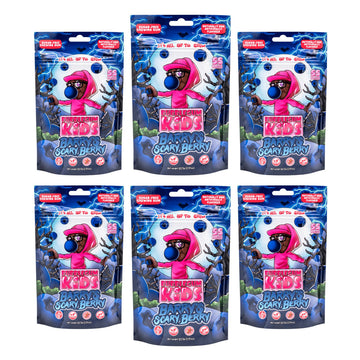 Bubblegum Kids Sugar Free Gum - Vegan Friendly Berry Flavors - 55 Count (Pack of 6) - Perfect for Kids and Adults