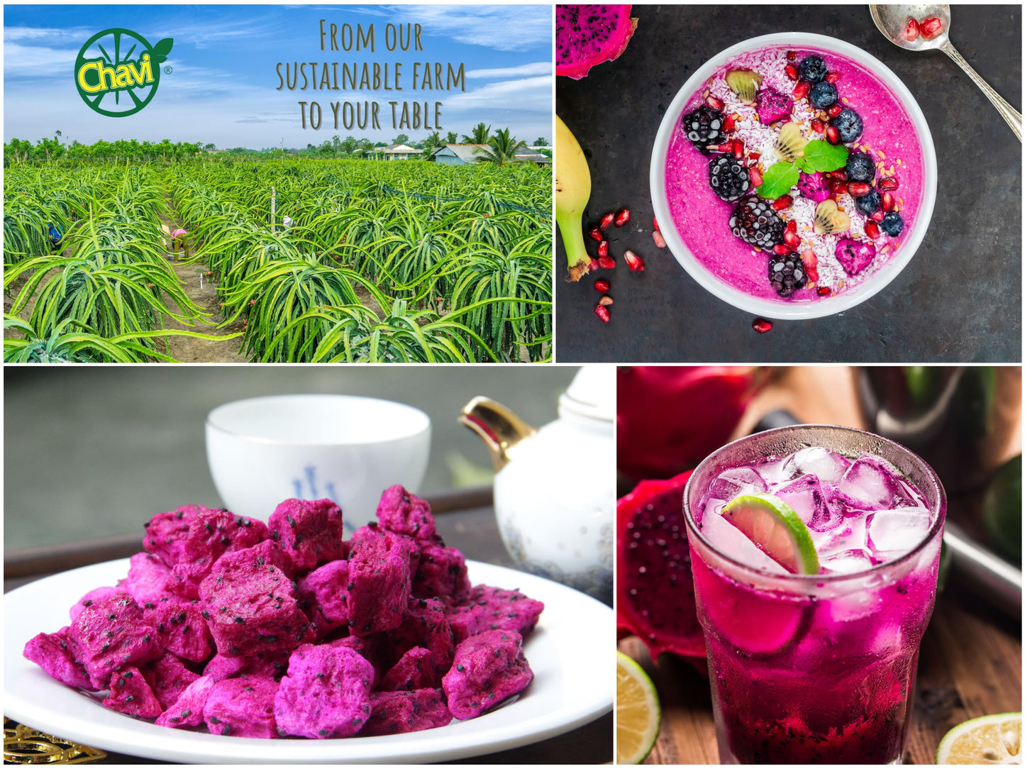 CHAVI Freeze-Dried Diced Dragon Fruit Snack - Healthy Superfood - Non-GMO, Vegan, Gluten-Free - 2 x 2 oz (Pack of 2)