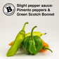 Bertie'S Slight Pepper Sauce (10 Oz./300Ml) | Gives You Great Flavour Without Too Much Heat