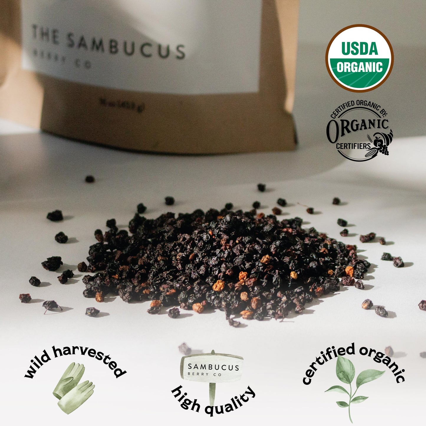 Waterglider International Certified USDA - 100% Organic Dried Elderberries - 1lb Bulk - Non-Irradiated, Non-GMO, Wild Harvest, W