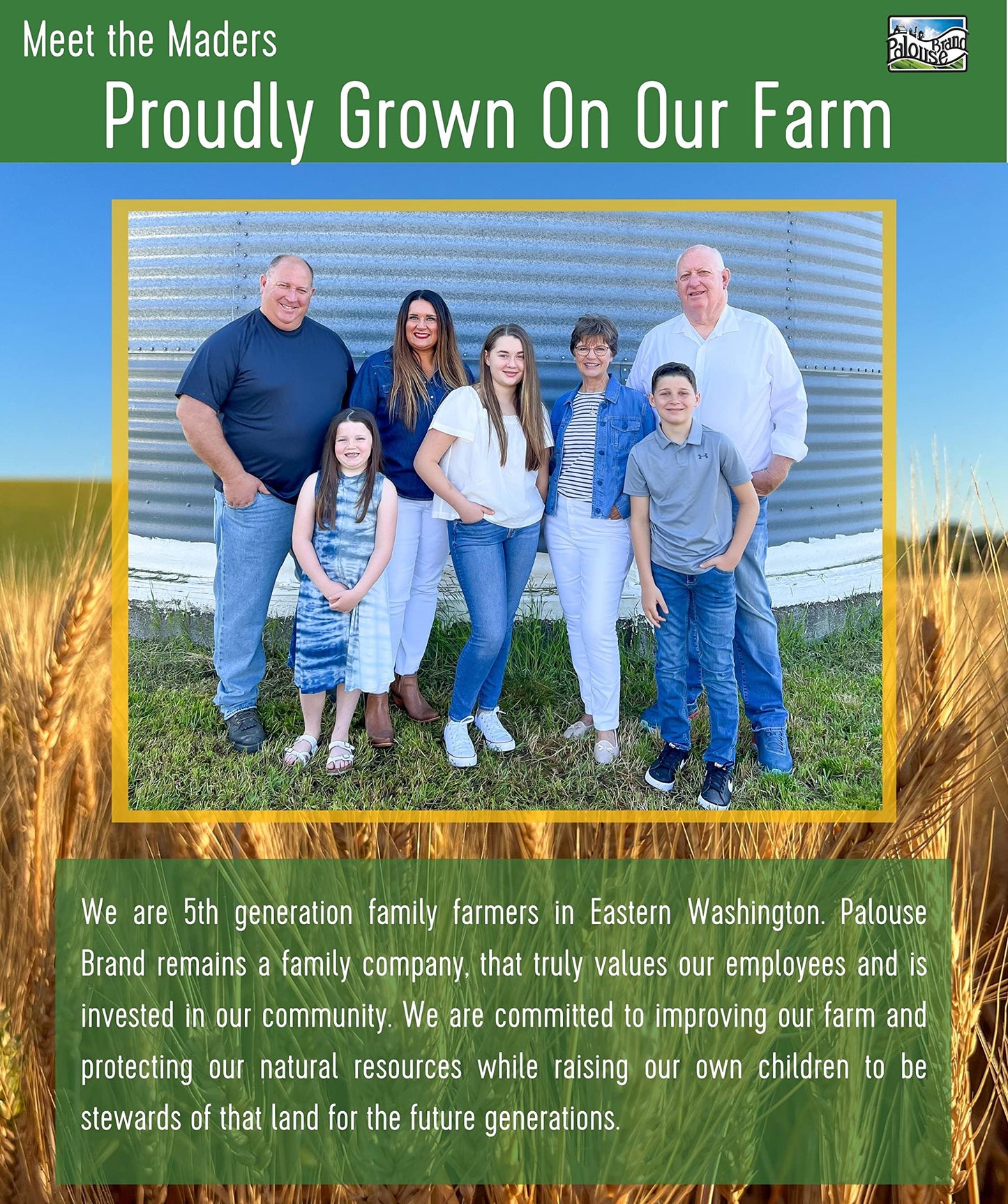 Hard White Wheat Berries | 15 Lbs | 3 Pack | Family Farmed In Washington State | Non-Gmo Project Verified | Kosher