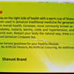 Shavuot Jamaican Cerasee Tea - 20 Tea Bags, Pack of 2, Herbal Tea, Caffeine-Free, Authentic Jamaican Flavor