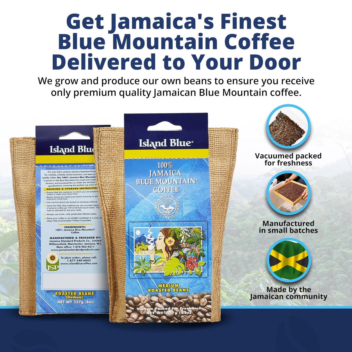 Island Blue 100% Jamaica Blue Mountain Medium Roasted Whole Beans Coffee (8Oz)