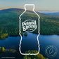 Poland Spring Brand 100% Natural Spring Water, 12 fl oz. Plastic Bottles (12 count)