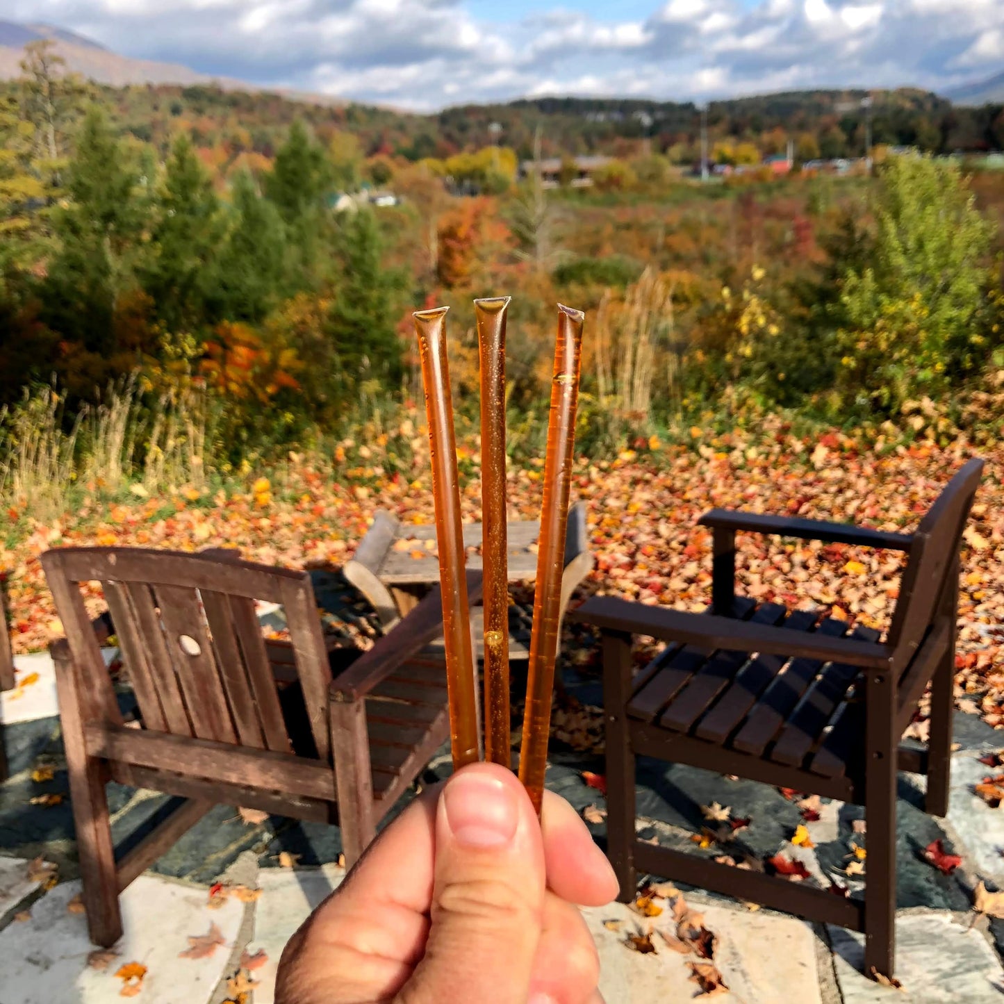Wildflower Honey Sticks For Tea, Travel & Snacks - Premium Grade Pure Honey Packets Are Farm Fresh From Us Beekeepers - Each Hon