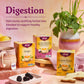 Yogi Tea Ginger - 16 Bags per Pack (4 Packs) - Organic Digestive Support Tea - Includes Ginger Root, Lemongrass, Licorice Root,