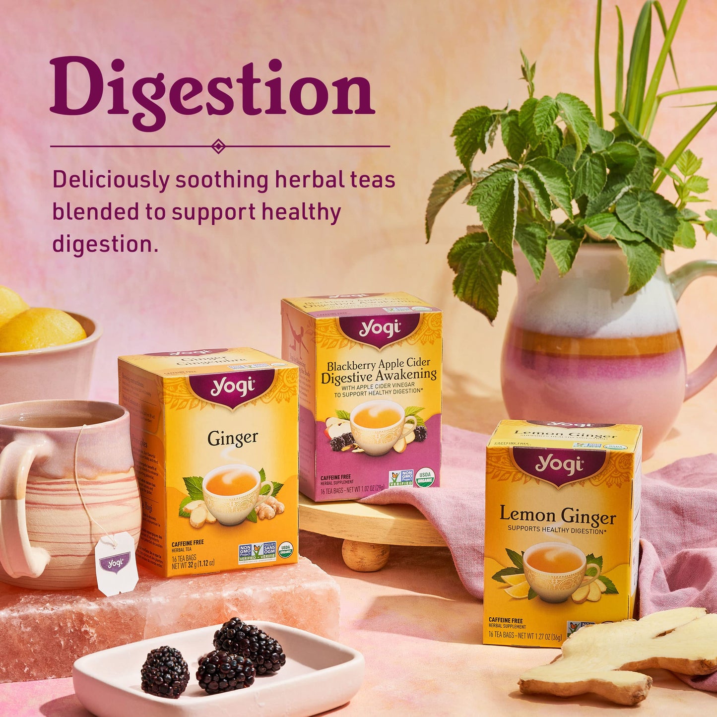 Yogi Tea Ginger - 16 Bags per Pack (4 Packs) - Organic Digestive Support Tea - Includes Ginger Root, Lemongrass, Licorice Root,