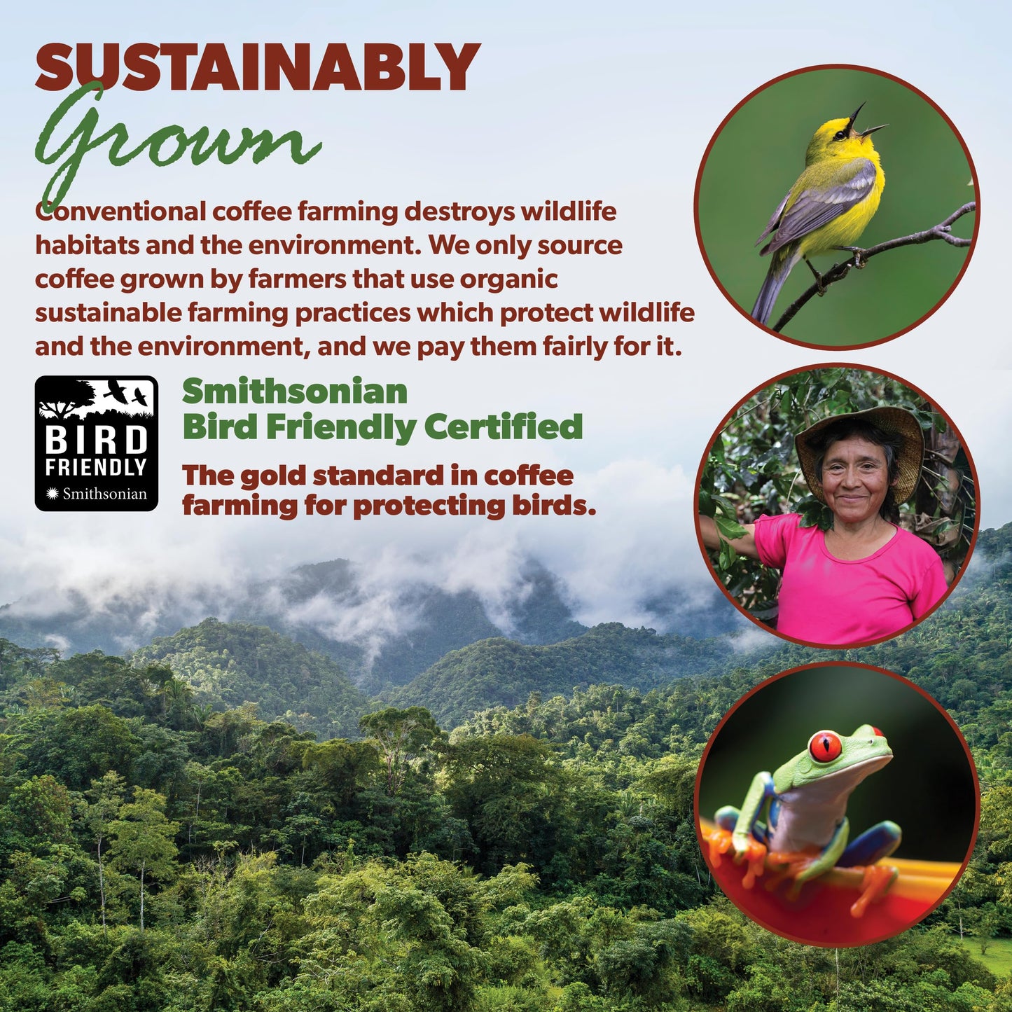 Low Acid Organic Coffee – Whole Bean, Mold-Free & Stomach Friendly By Java  T, Colombian Single Origin, Medium Dark Roast, Smooth Full Flavored, 2X1Lb Bag