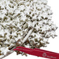 Se Si&Moos Edible Silver Star Sprinkles Edible Silver Stars For Cake Decorating Silver Edible Stars Silver Sprinkles Large Star