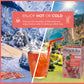 Wissotzky Strawberry Burst Herbal Tea, 20 Tea Bags | Fruity Blend | Caffeine Free Tea | Antioxidant Rich