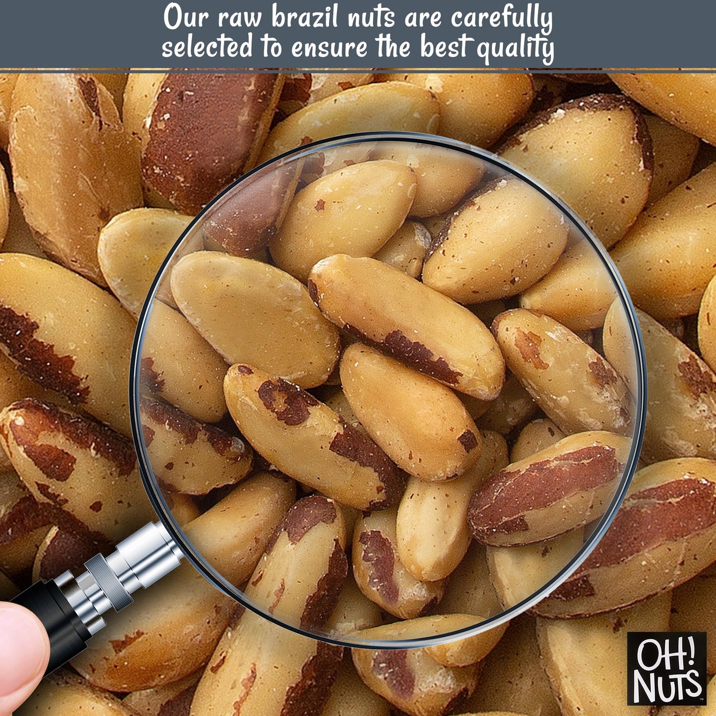 Oh! Nuts Raw Brazil Nuts - 100% Natural Whole Unshelled - 2 lb Zip-Seal Bag