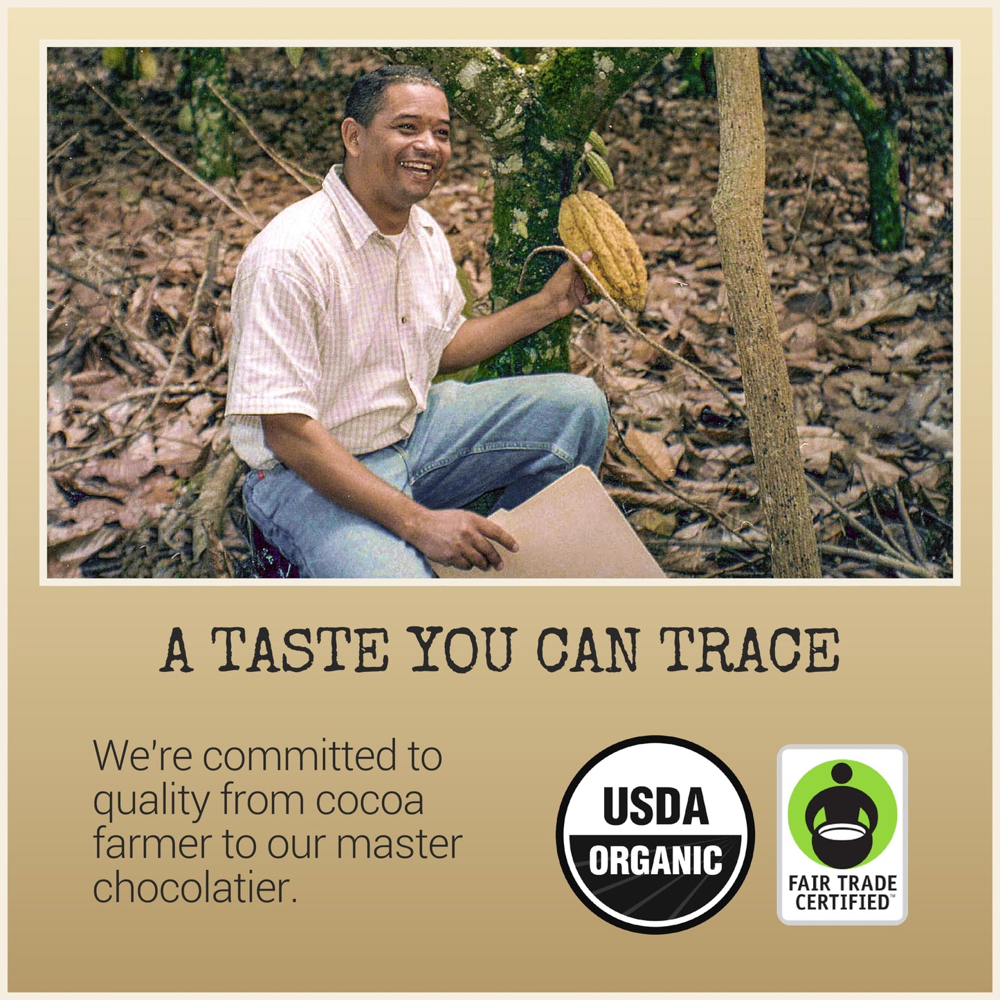 Chocolove Organic Dark Chocolate Bars | 73% Cocoa | Certified Fair Trade Organic Belgium Chocolate | Ethically Sourced, Non-Gmo, 3.2 Oz Bar (12 Pack)