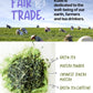 Kubo Tea Japanese Sencha Matcha - Organic High Caffeine Tea Bags - 20 Biodegradable Pillow Bags (140mg Caffeine Each)