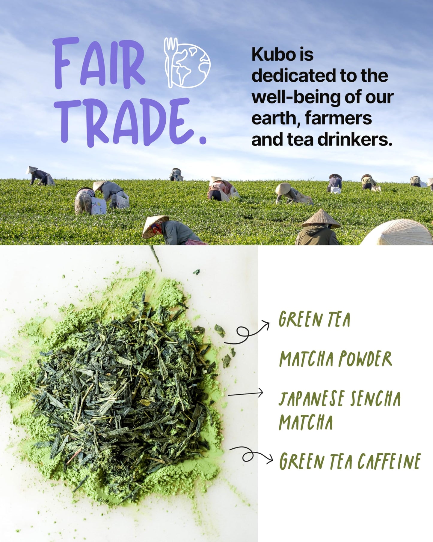 Kubo Tea Japanese Sencha Matcha - Organic High Caffeine Tea Bags - 20 Biodegradable Pillow Bags (140mg Caffeine Each)