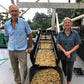 100% Kona Coffee - Whole Bean, Medium Roast, Single Estate Gourmet Coffee, 8 Ounces, Farm Fresh Roasted From Domain Kona Coffee