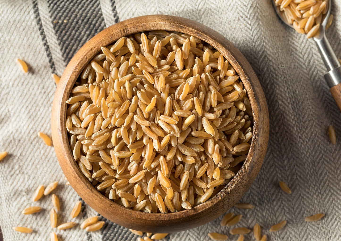 Food to Live Organic KAMUT Khorasan Wheat Berries, 10 Pounds - 100% Whole Grain, Sproutable for Wheatgrass, Non-GMO, Kosher, Bul