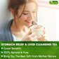 Premium Stomach & Liver Herbal Tea | Milk Thistle Seed, Ginger, Fennel, Peppermint & Licorice