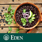 Eden Organic Dry Black Beans, Non-GMO Turtle Beans, 16 oz (1 lb) Box, U.S. Grown Frijol Negro