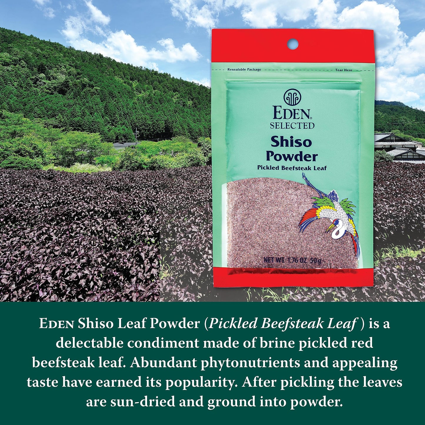 Eden Shiso Leaf Powder, Traditionally Made In Japan, Pickled Beefsteak Leaf, 1.76 Oz