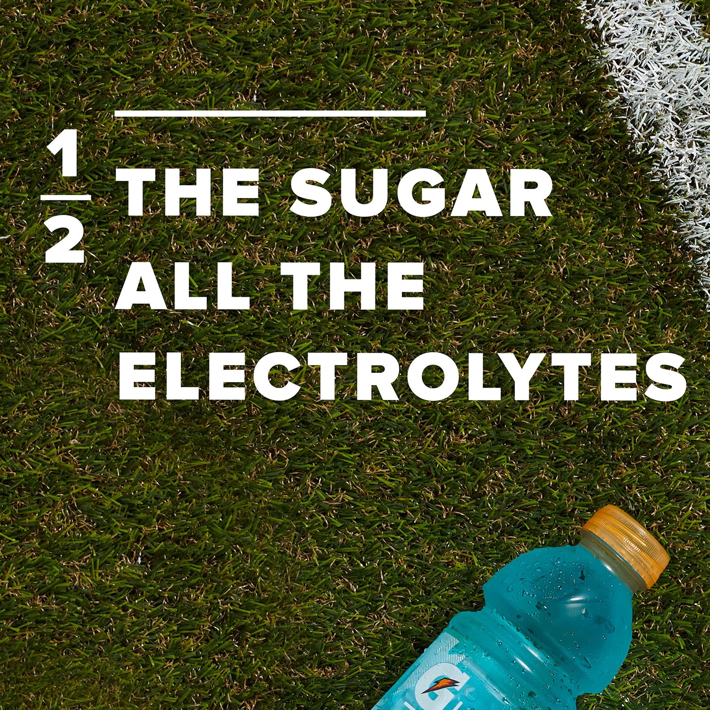Gatorade G2 Thirst Quencher, Lower Sugar, Fruit Punch And Glacier Freeze Variety, 12 Fl Oz (Pack Of 24)
