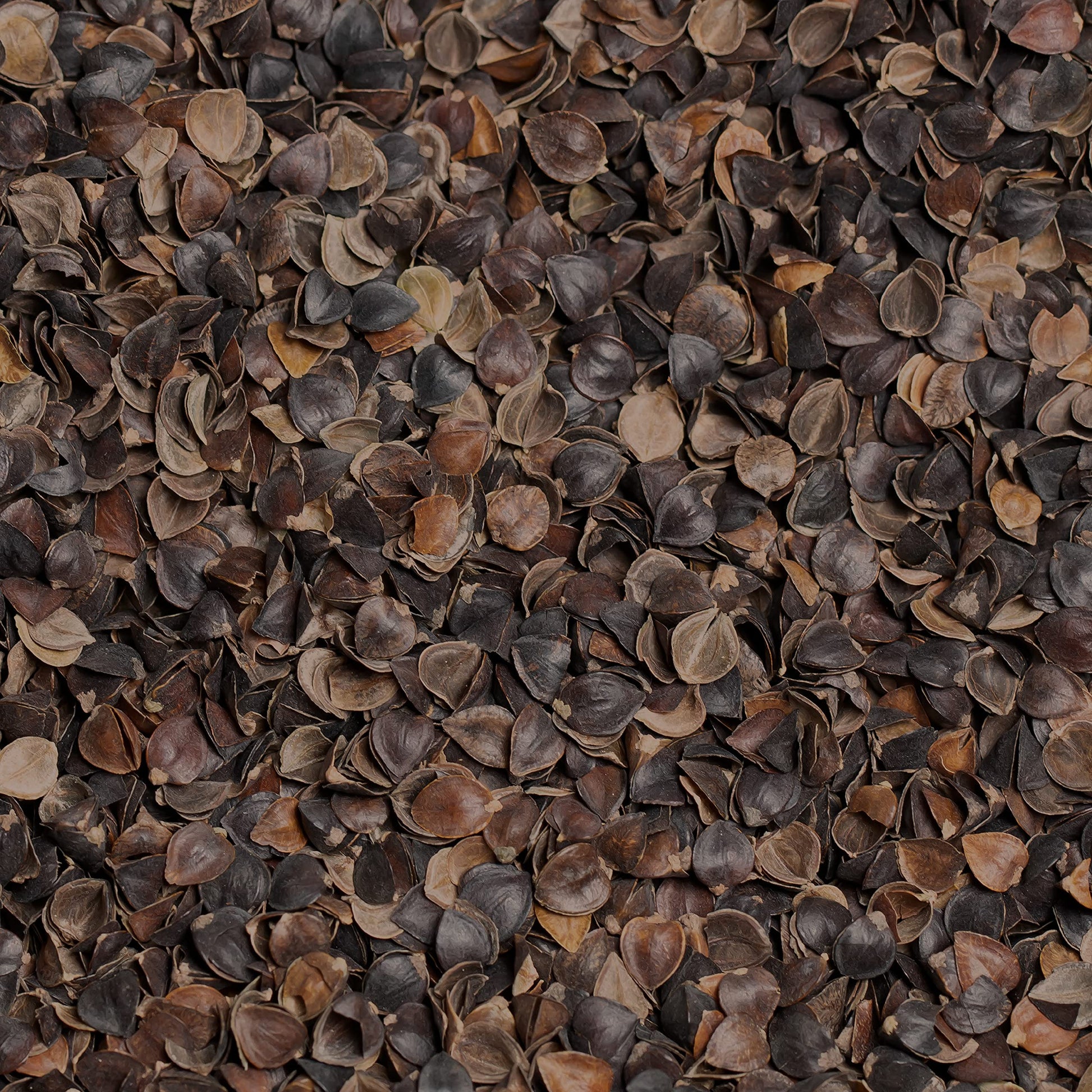 Bean Products Buckwheat Hull Filling - 10 lbs - Brown Color