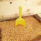 Paragon Bulk Bag Yellow Popcorn (12.5-Pounds)